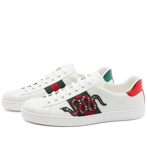 gucci snake shies